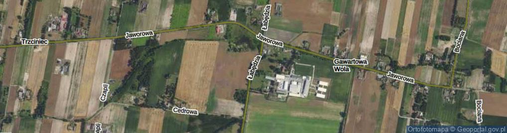 Zdjęcie satelitarne Łabędzia ul.